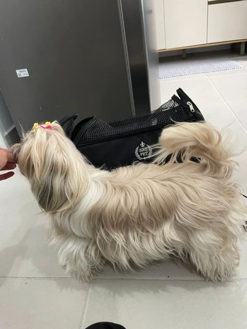 BOLSA PET