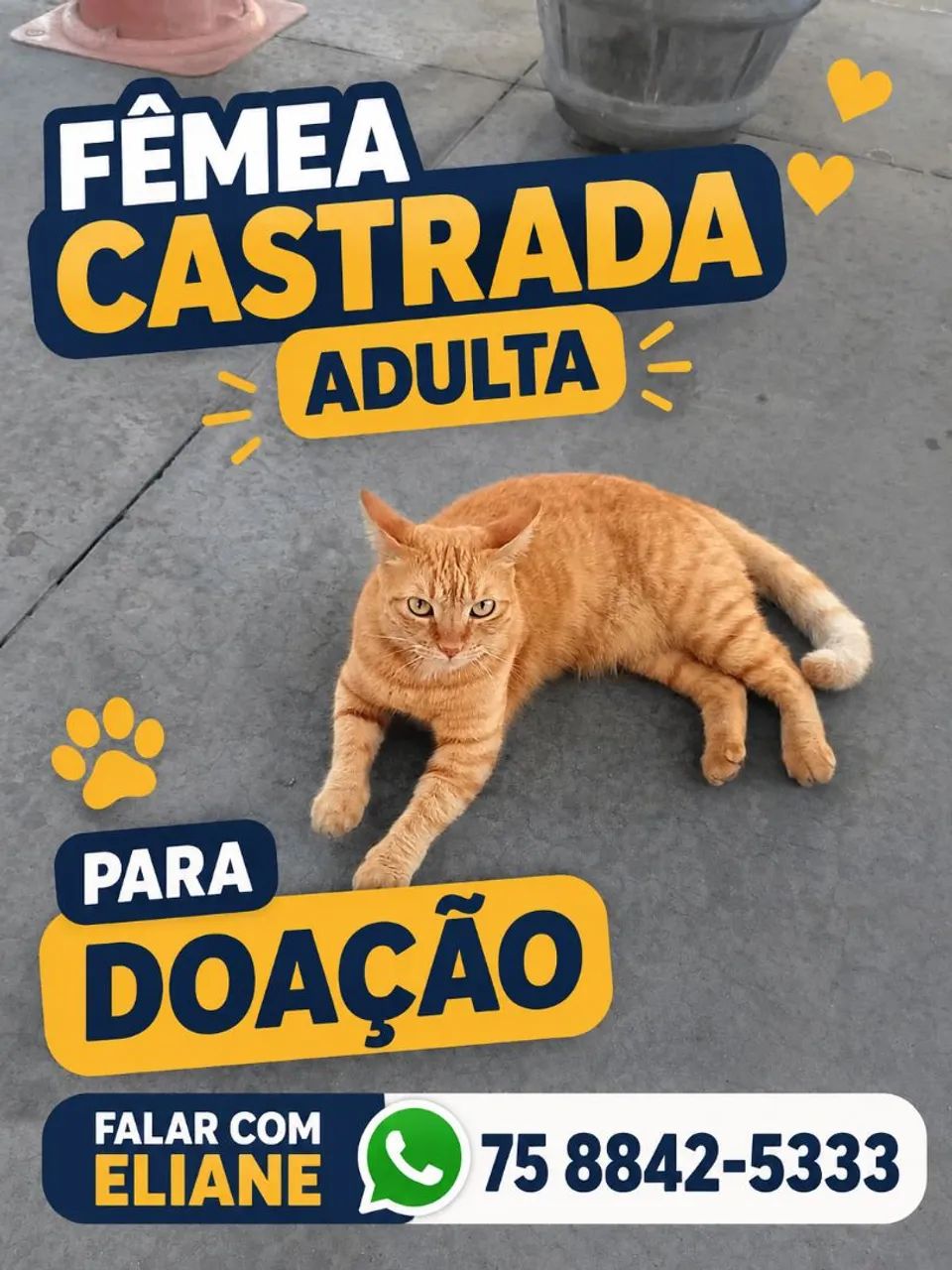 Para doação 