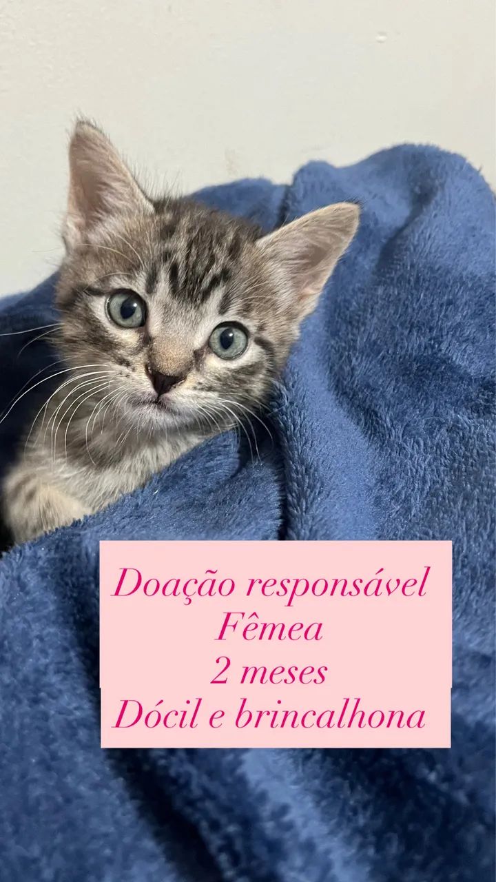 Doação responsável