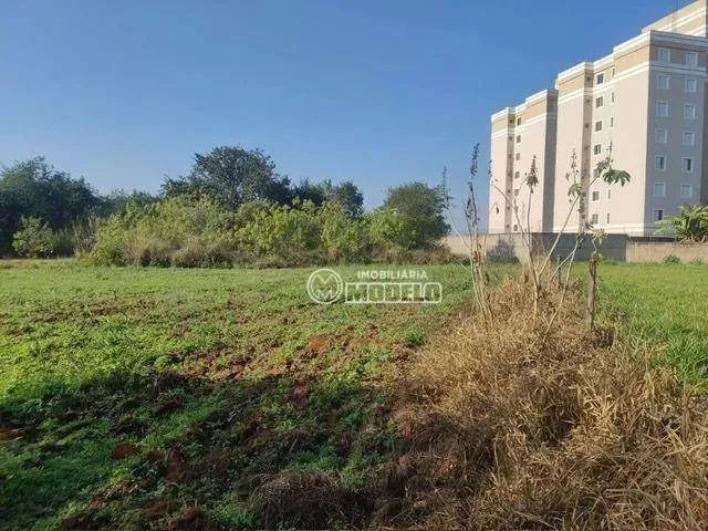 Terreno à venda, 3870 m² por R$ 1.550.000 - Dois Córregos - Piracicaba/SP