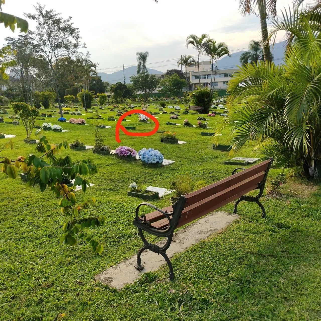 JAZIGO JARDIM DA PAZ FLORIANÓPOLIS  - Foto 3