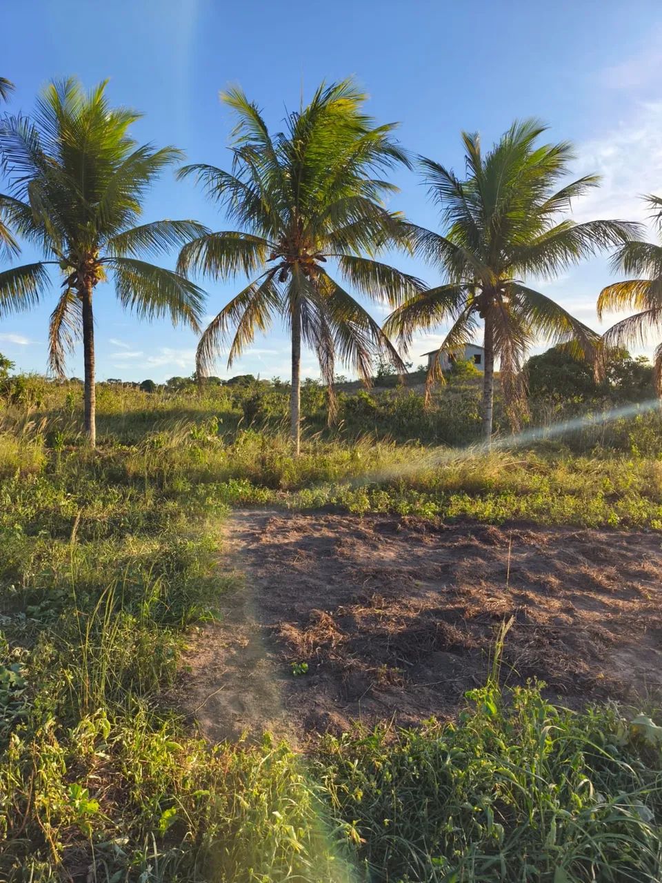 Foto - Aracaju - Cidade Nova