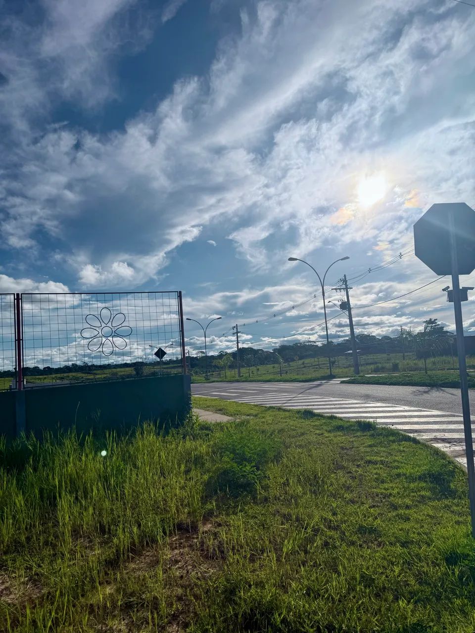 Terreno Bosque Primavera - Estrada Dias Martins - Foto 2