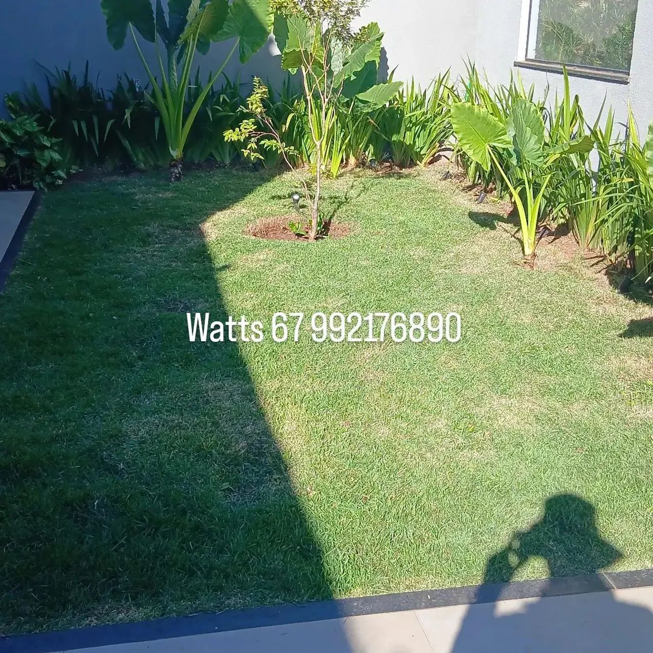 Jardineiro gramas e terrenos em geral  - Foto 2