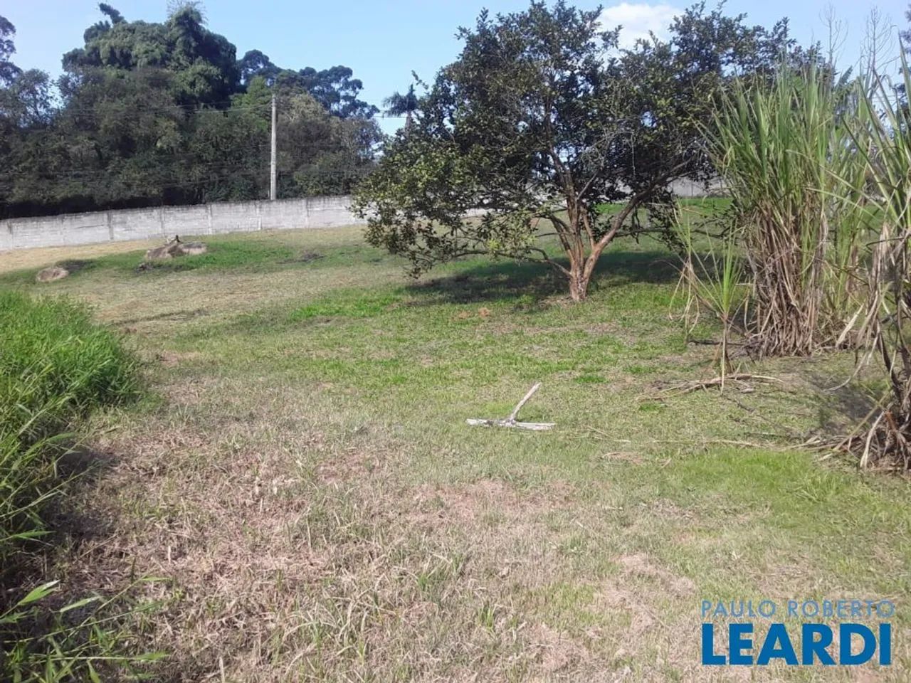 CHACARA - JARDIM ÍSIS - SP - Foto 6