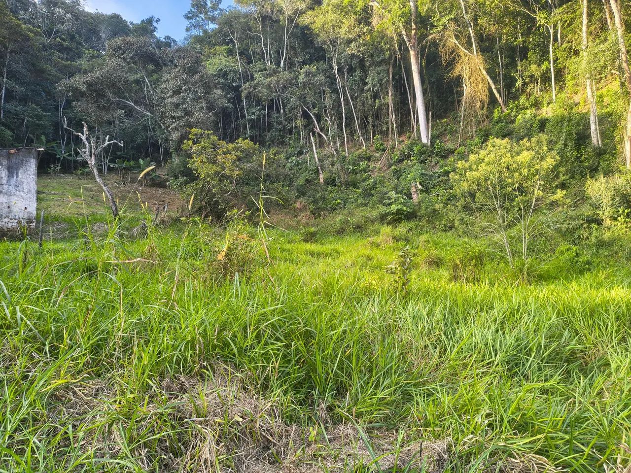 Oportunidade chácara Vale do sabia - Foto 4