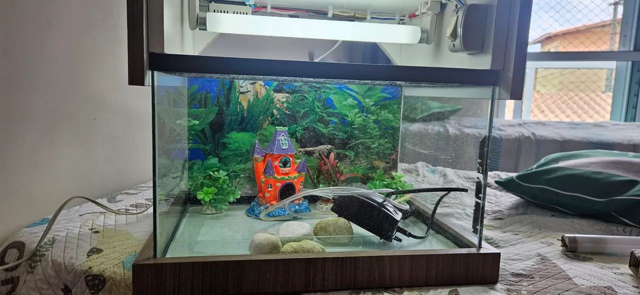 Aquário 30 Litros com 2 luminárias e enfeites - Foto 5