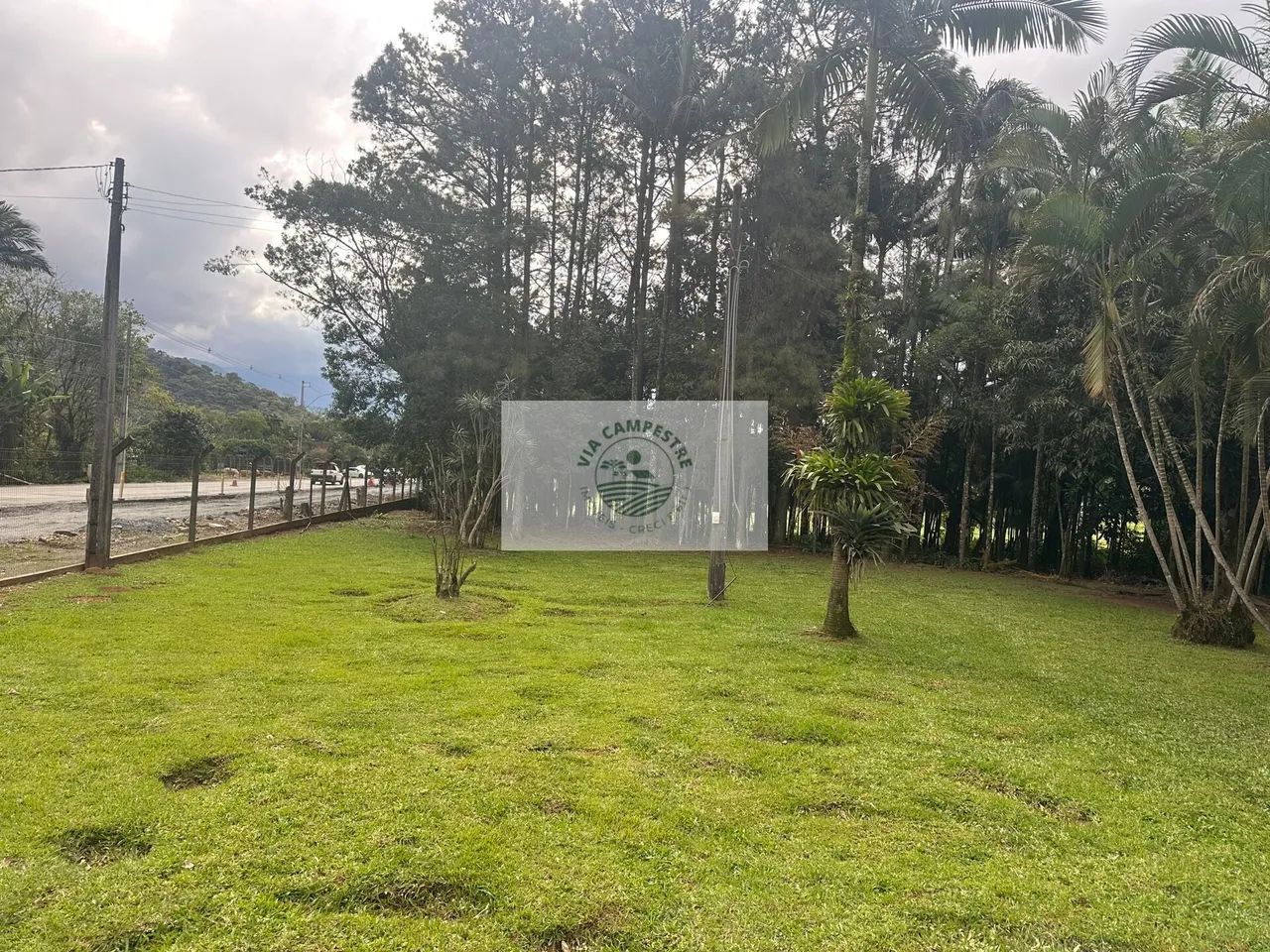Propriedade rural com 22.400 m2, escriturada, com casa de 4 dormitorios, com riacho - Foto 3