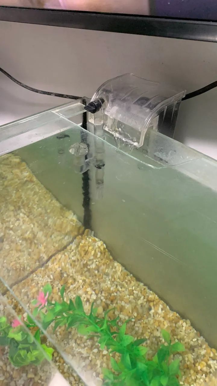 Vendo Aquario cubo com tampa