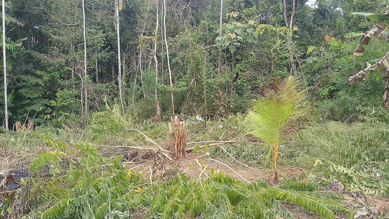 Vende-se lotes - Foto 2