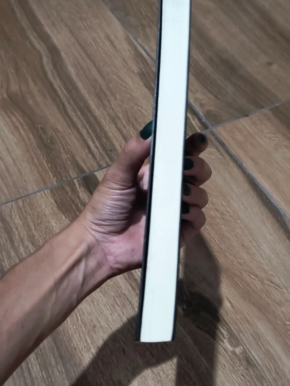 Caixa de pássaros - Josh malerman - Foto 3