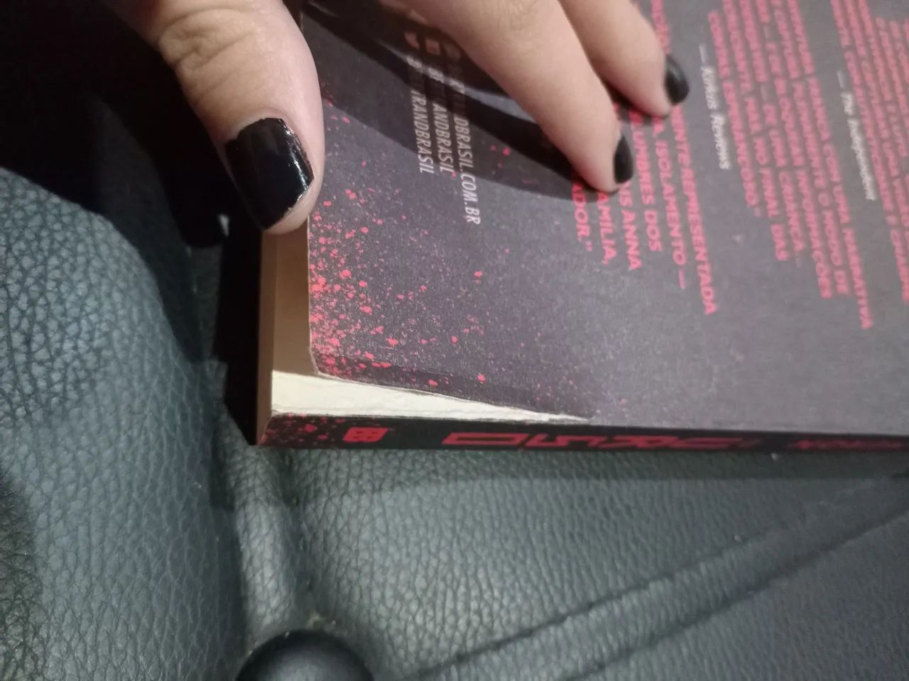 O Urso - Foto 3