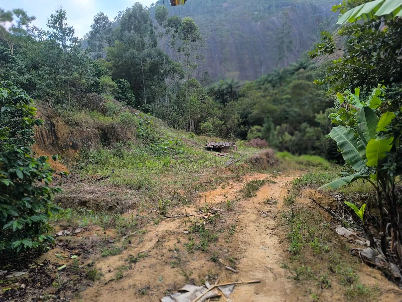 Sítio zona rural de conceição do castelo es - Foto 3