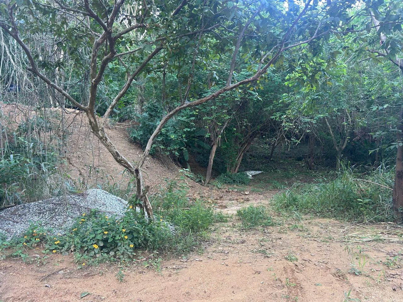 Vendo terreno de 900m quadrados - Foto 2