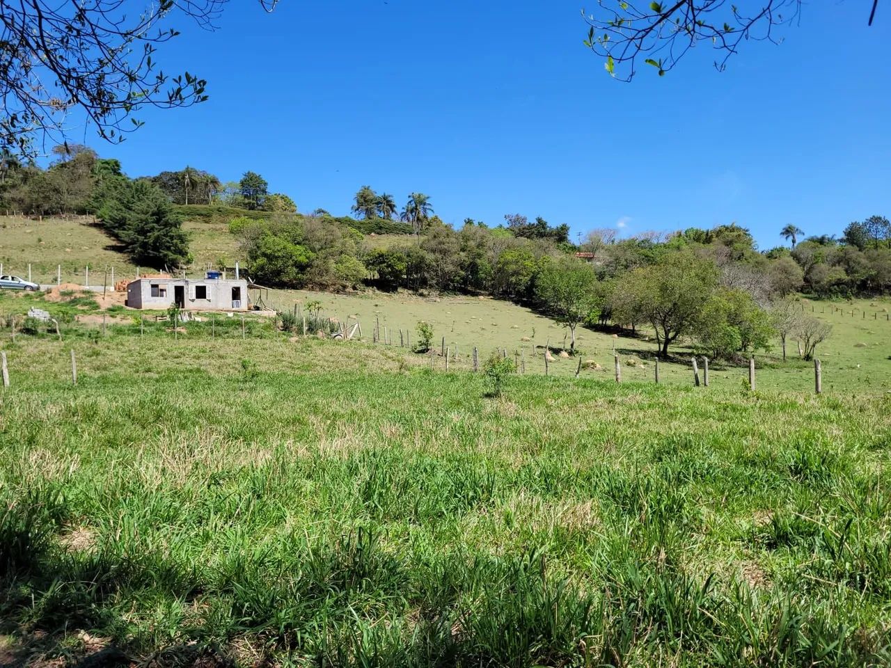 Foto - São Bernardo do Campo - Alvarenga
