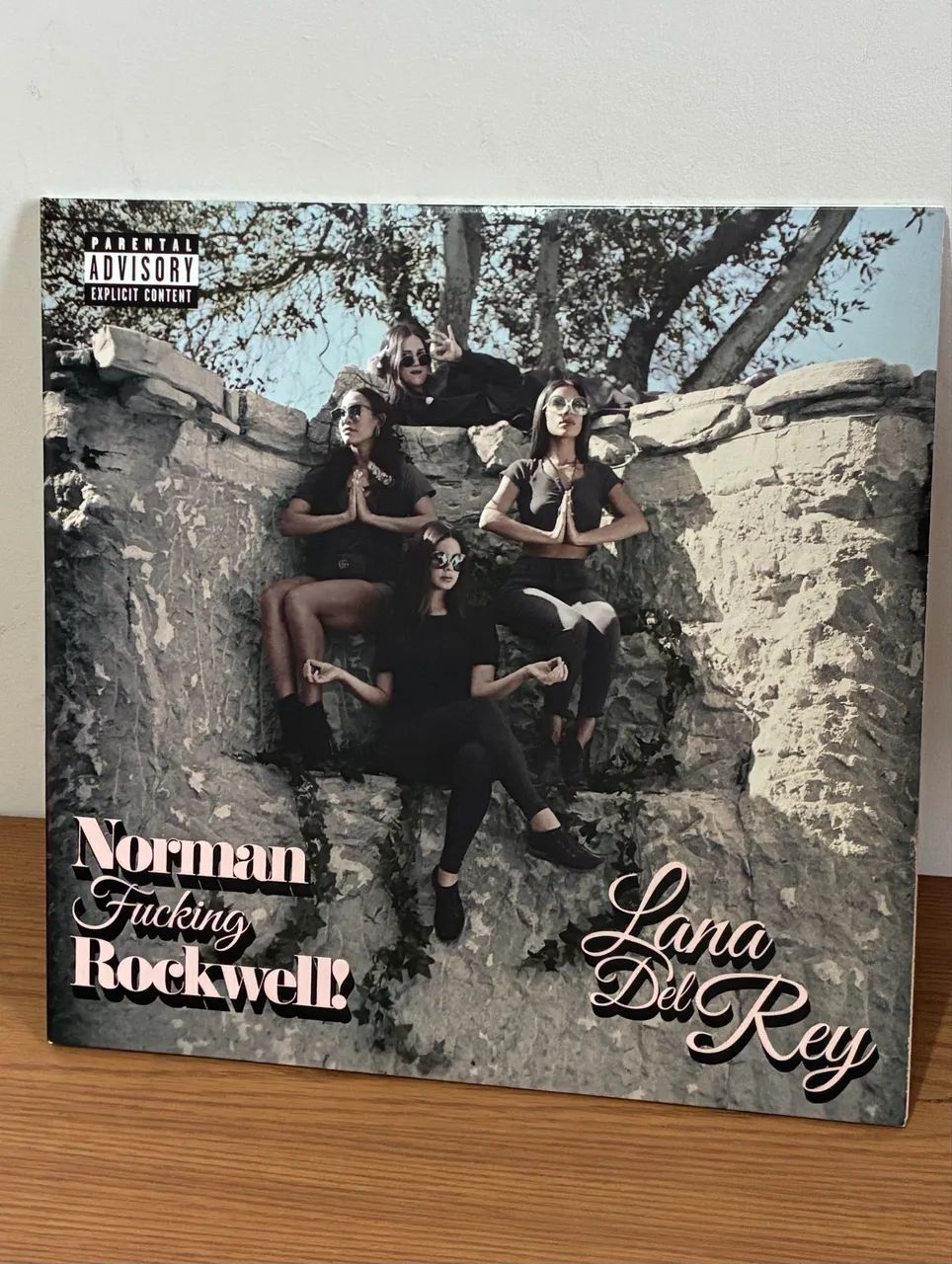Lp Lana Del Rey Norman Fucking Rockwell Duplo rosa - CDs, DVDs etc