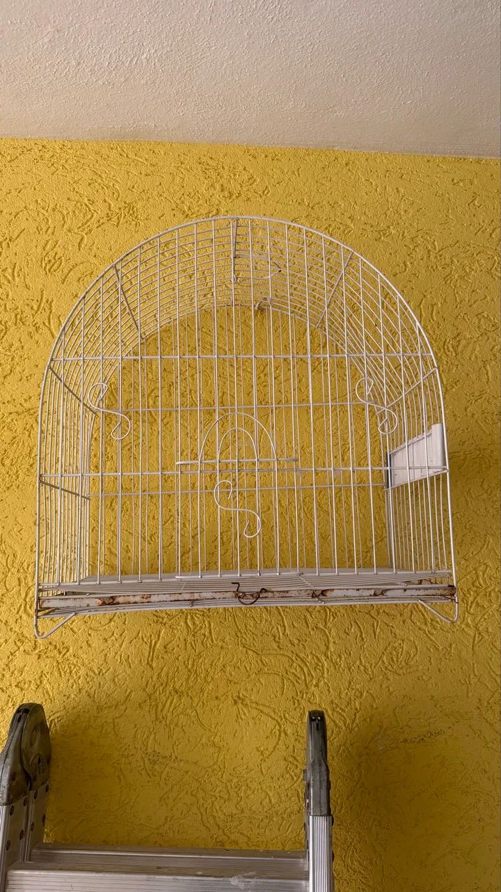 Gaiola  - Foto 4