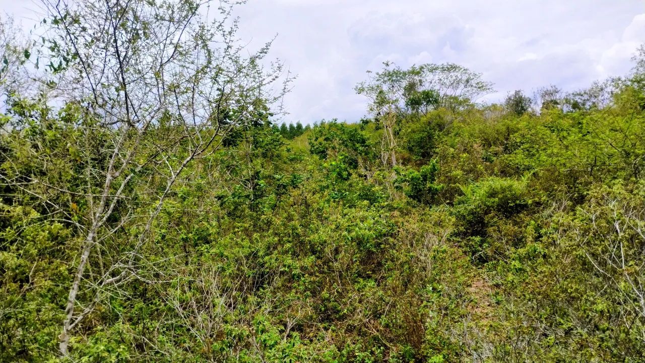 16 Tarefas de terra 