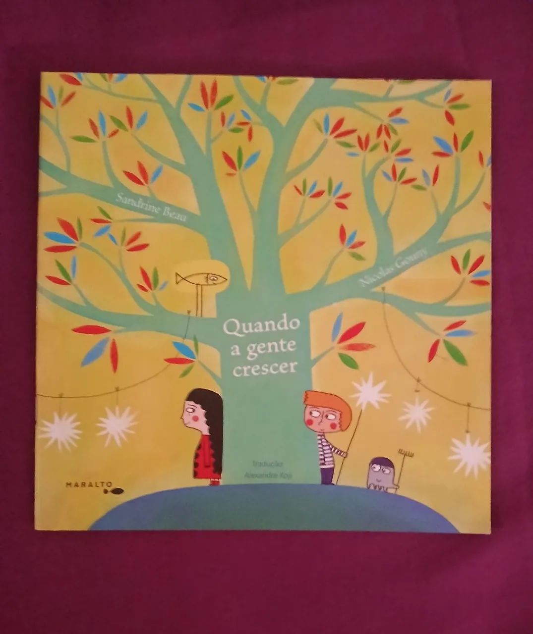 Livro: Quando a gente crescer 