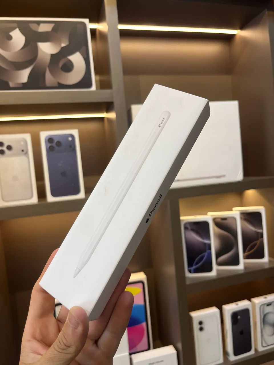 Apple Pencil USB-C Apple Original 
