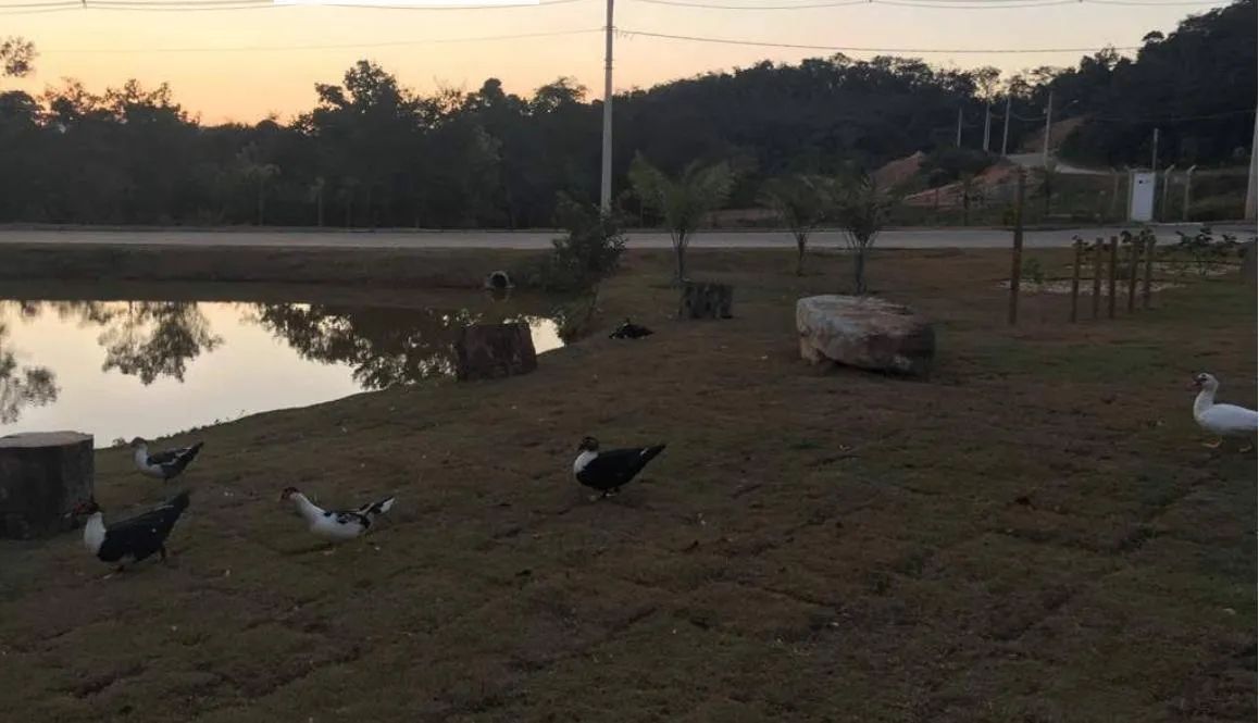 Lote em Condomínio Fechado Itabirito - Foto 5