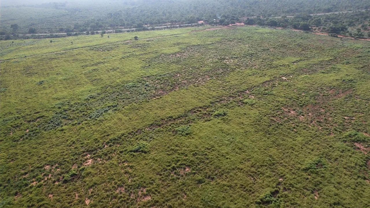 Fazenda à venda - 203 ha 28 km de Araguaína/TO - Foto 4