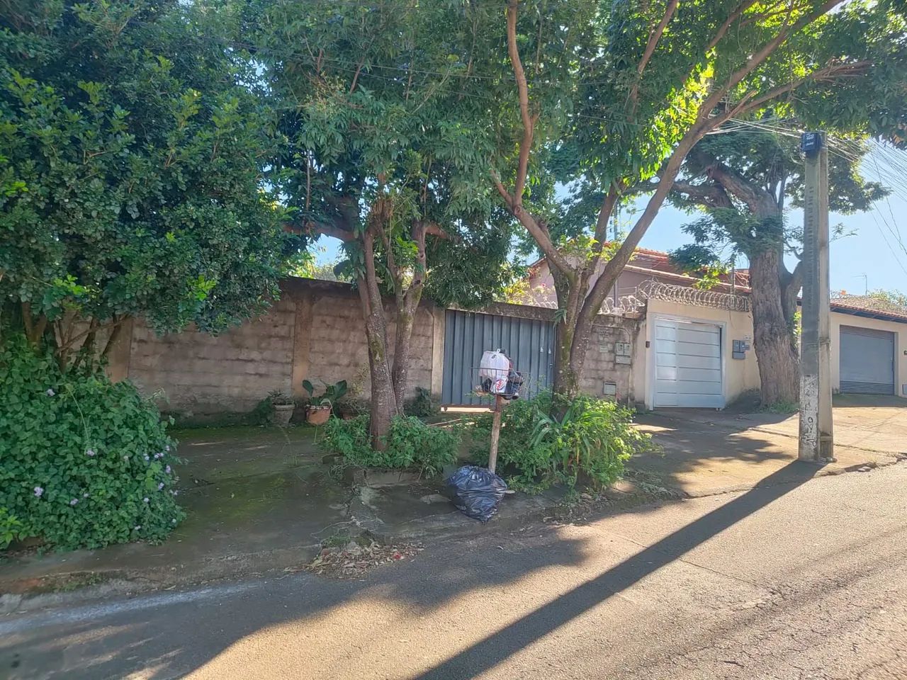 Foto - Goiânia - Jardim América