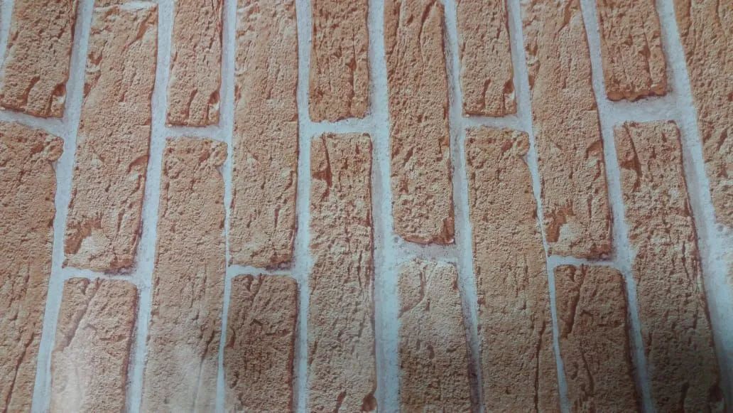 Papel de Parede - Foto 4