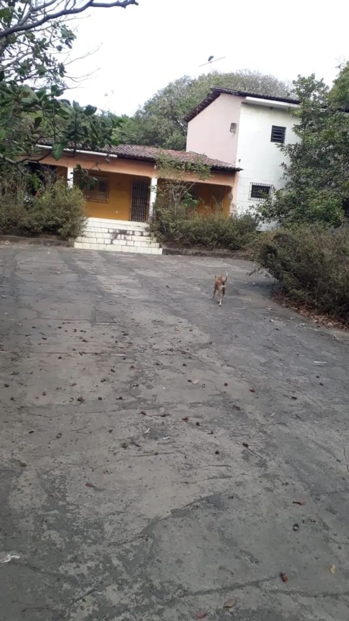 Foto - São Luís - Turu