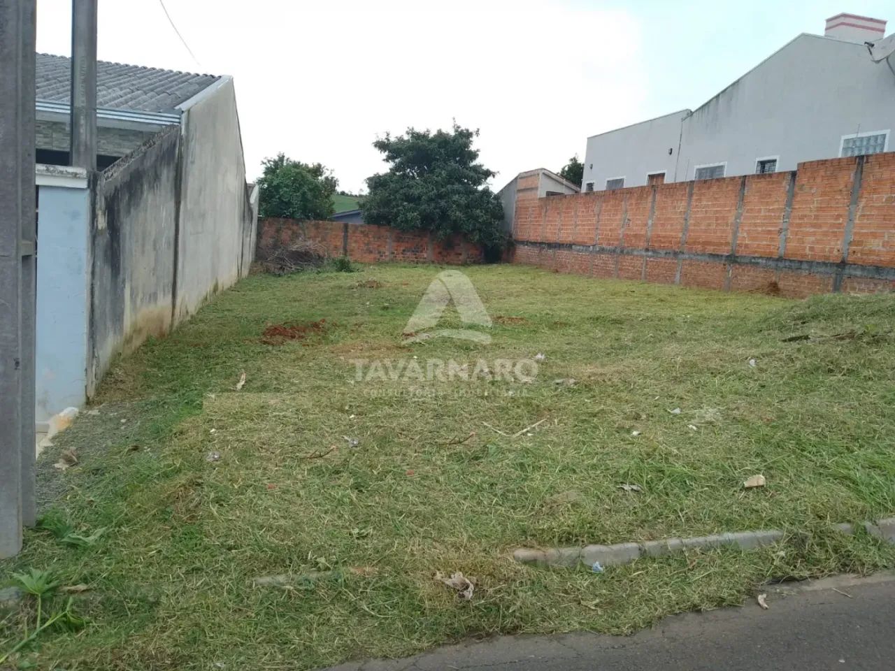 Terreno Padrão em Ponta Grossa - Foto 3
