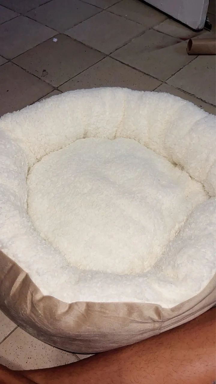 Caminha de gato