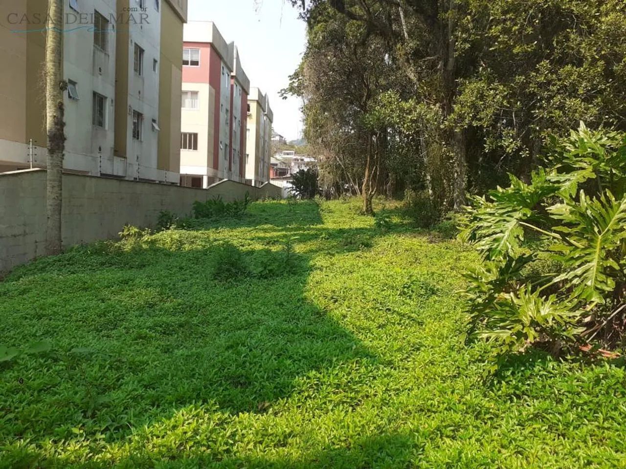 Terreno para Venda em São José, Forquilhas - Foto 2