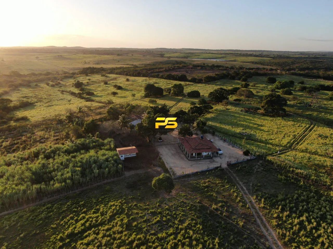 Fazenda 67 hectares em Jacaraú/PB à Venda REF: PS7738 - Foto 2