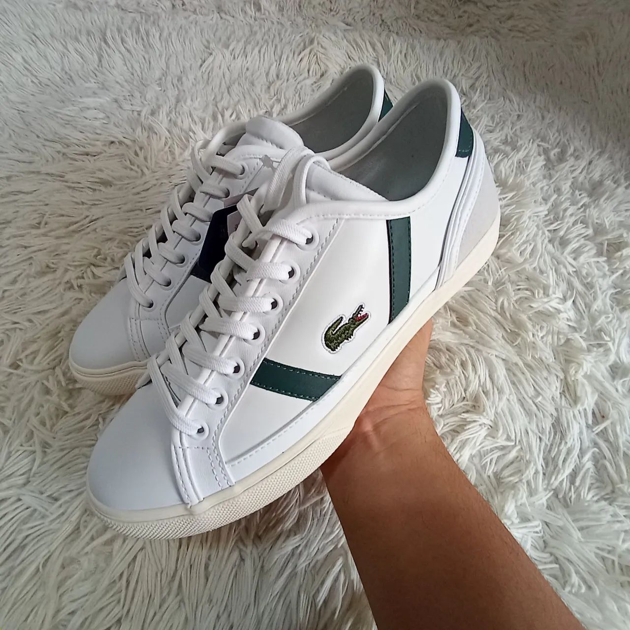 Tênis Original Lacoste Masculino casual
