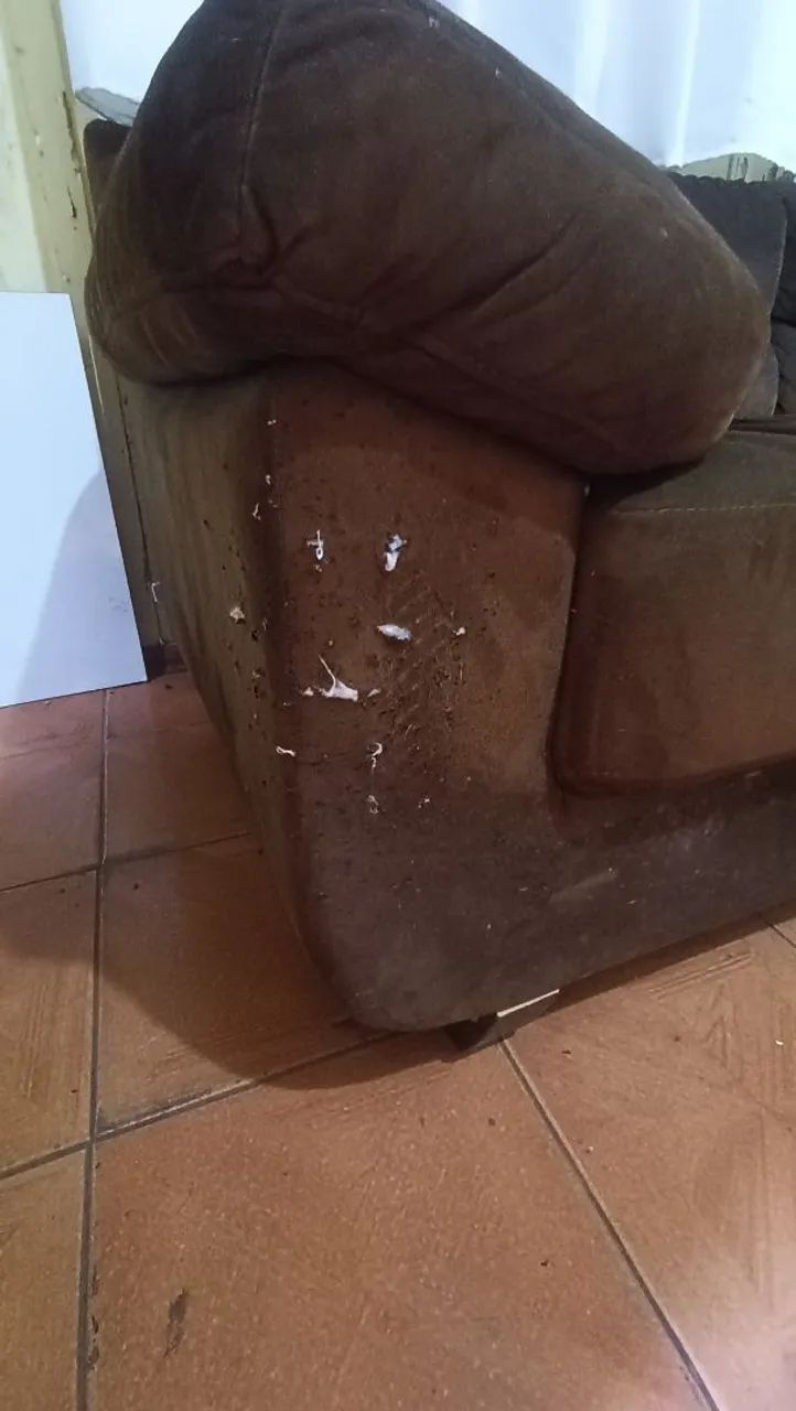 Sofá 2 lugares TORRO E ENTREGO !  - Foto 3