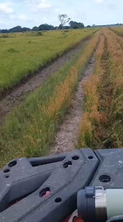Fazenda à venda em Cachoeira do Arari - Foto 2