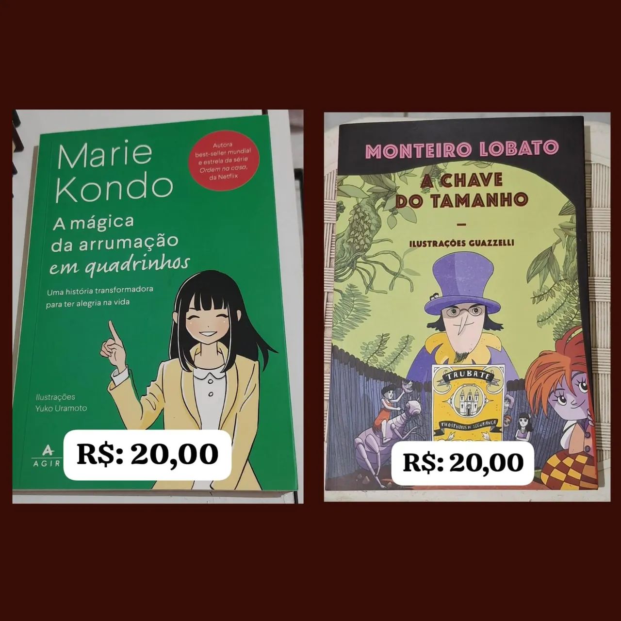 Livros excelentes usados