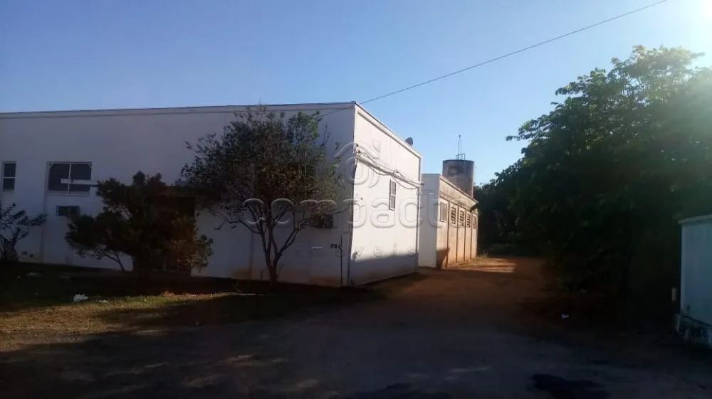 Comercial Barracão em Cedral - Foto 2