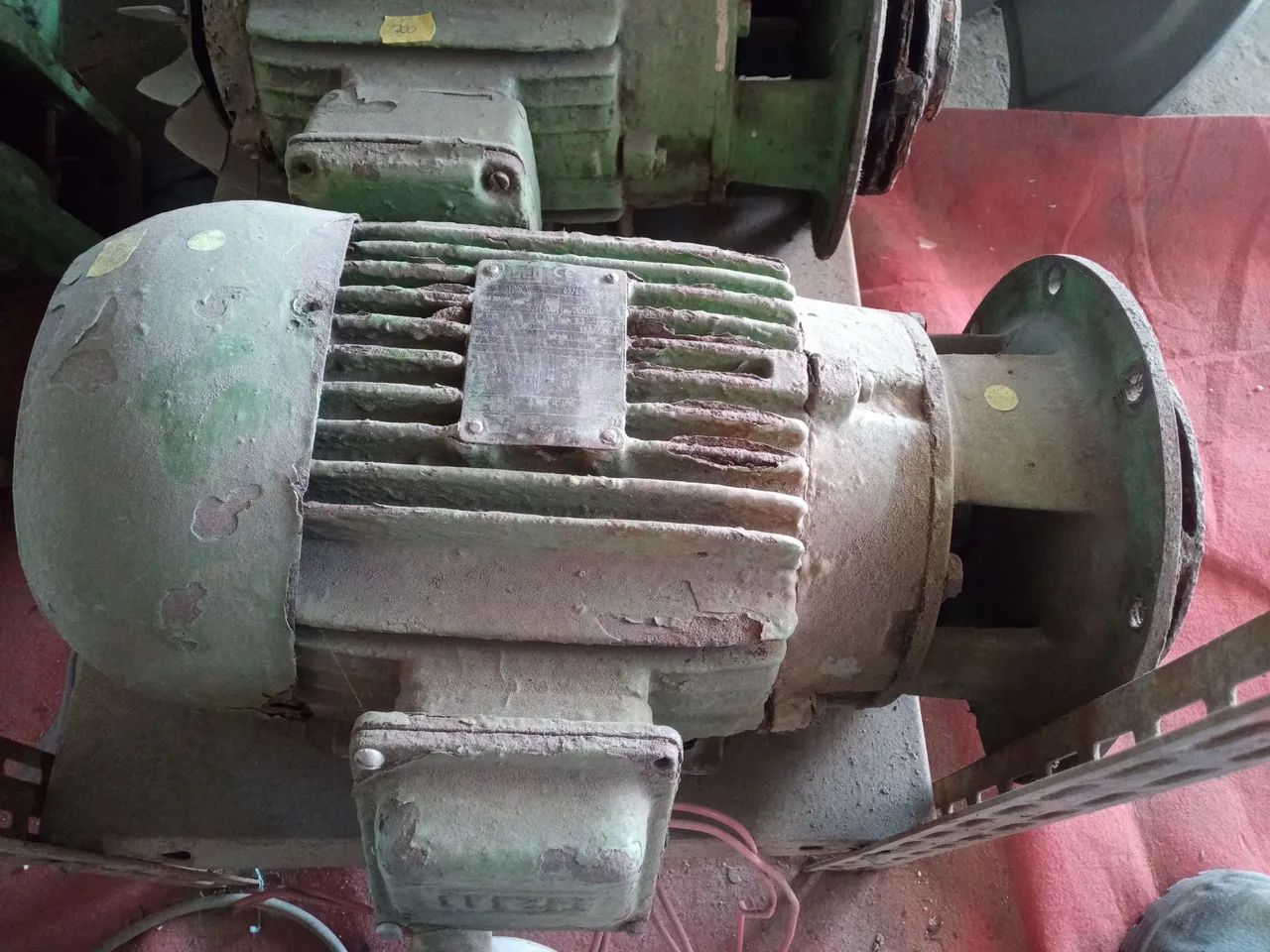 Motor
