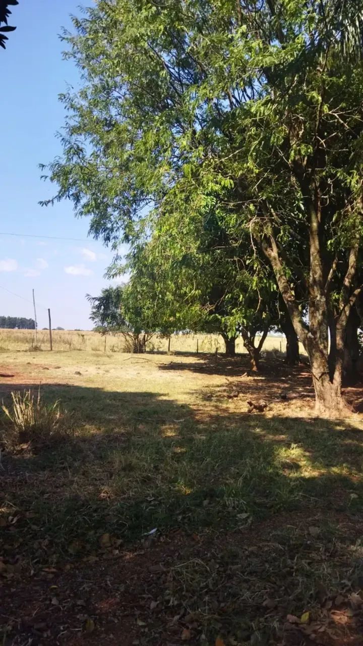 CHACARA COM 11 HECTARES A VENDA EM SIDROLANDIA - Foto 4