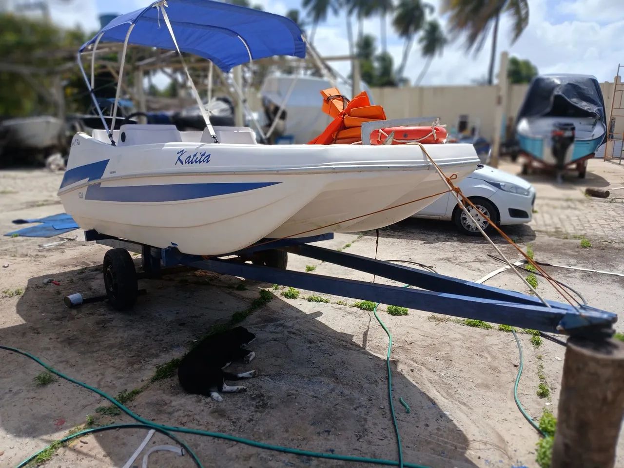 Sport fish sem motor 