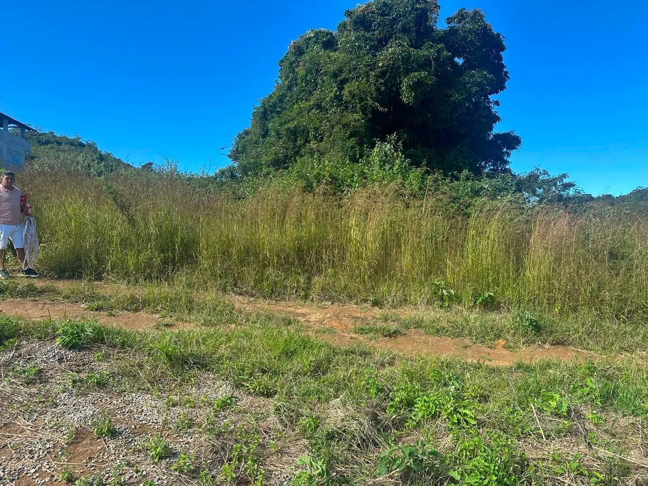  VENDO TERRENO EM MULUNGU - CE  - Foto 4
