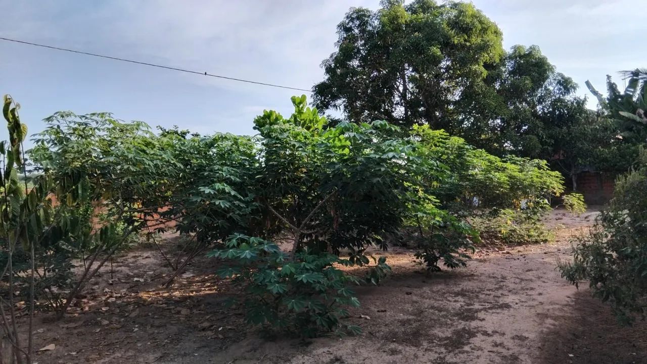 Vendo terreno  - Foto 2