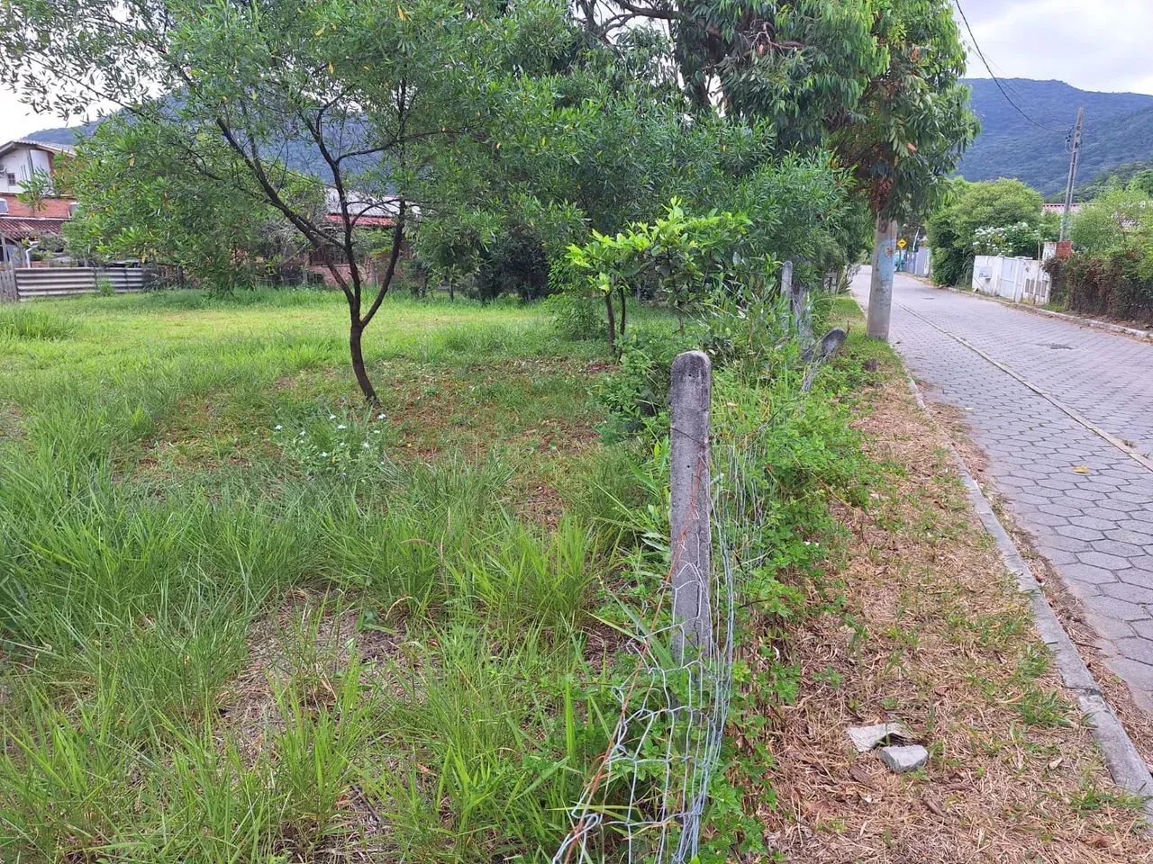TERRENO A VENDA NO RIO VERMELHO - Foto 2