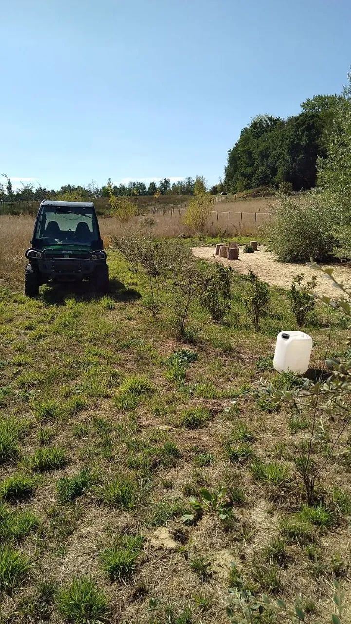 Serviços de limpeza de terrenos 
