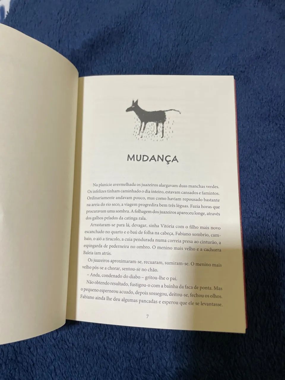 Livro Vidas Secas  - Foto 3