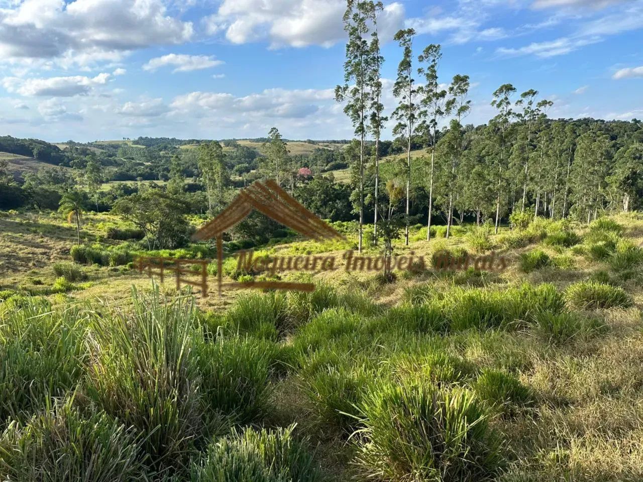 Sítio à venda com 5 alqueires em Guareí-SP - Foto 3