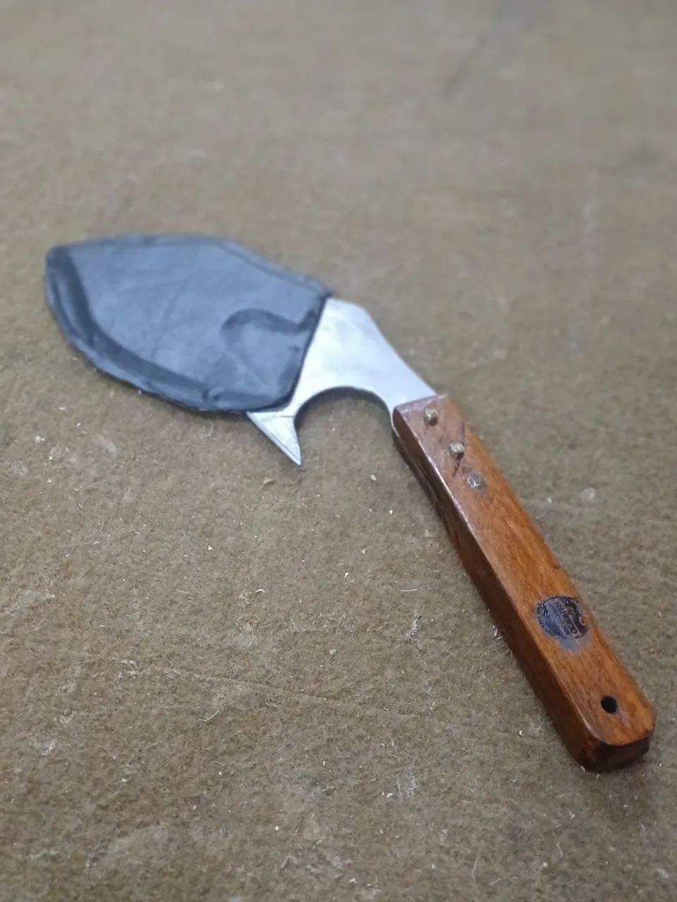 Machadinha  - Foto 2