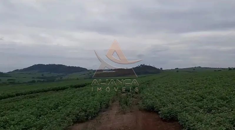 Fazenda - Casa Branca - Zona Rural - Foto 5