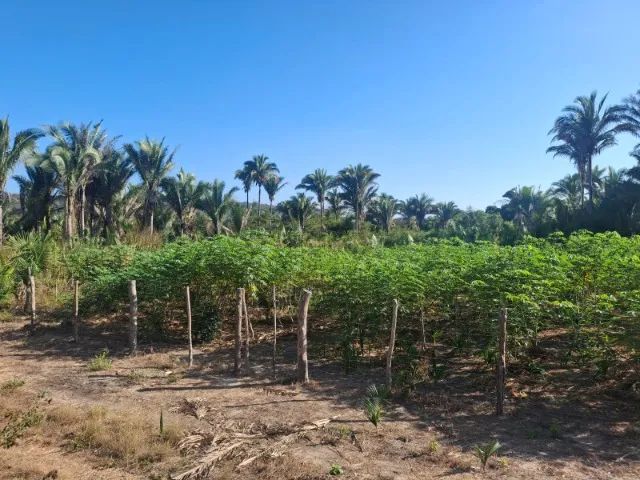 Terreno 20x60 m²  Valor Negociável, aceitamos troca em moto. Pov Campestre Norte. - Foto 5